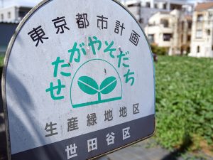 生産緑地では30年間の営農義務が課せられているが、その大半で2022年に期限を迎える
