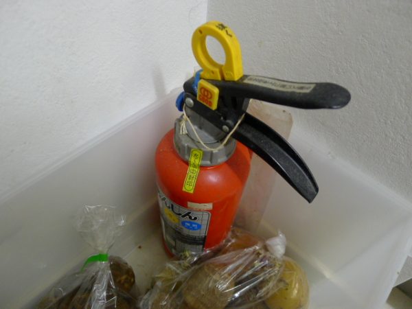 避難訓練の様子