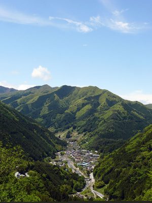 豊富な水と森林資源に囲まれた小菅村。なんとこの大自然まで、東京都心から車でおよそ2時間!