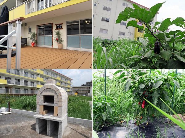 左上)2号棟東側には「ヒロッパ食堂」がオープン。ここで獲れた有機野菜がふんだんに使われている<br>
右上・右下)農園で成長した野菜。肥料にもこだわっている<br>
左下)ピザ窯の火入れも終了。秋のピザパーティーが楽しみだ