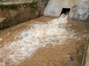 2019の干支である己亥は土剋水であり、土を水が侵すという意味である。溢れ出ようとする水の流れを土が堰き止める、または清流の流れを土が汚し濁流にするといったイメージがある