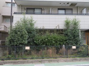 お隣にどんな人が住んでいるか、管理がきちんと行われているかは建物全体からも窺える。荒れた雰囲気、薄汚れた印象がある物件は避けたほうが無難