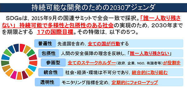 17の国際目標ゴールの特徴