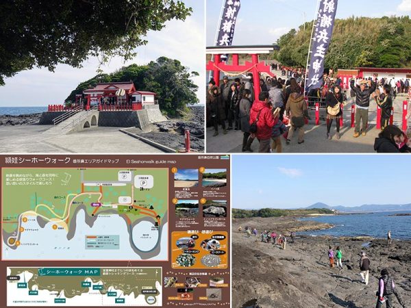 上2点/釜蓋神社。正式名称は「射楯兵主(いたてつわものぬし)神社」。頭に釜蓋を載せて落とさないように鳥居から賽銭箱まで歩いて参拝する「釜蓋願掛け」で有名。右上写真は正月の様子。全国から参拝者が詰めかけ、行列をつくる 左下/シーホーウォークマップ。はじめはおこそ会が手づくりで開通させたところ、行政が整備に乗り出してくれた。番所鼻から釜蓋神社まで、7つの浜を巡るトレッキングコースだ 右下/シーホーウォークの様子。潮の満ち引きによって眺めが変化し、磯にはさまざまな海の生き物が姿を現す(左上以外写真提供:頴娃おこそ会)