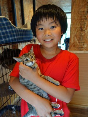 猫庭館長を務める次女の手島姫萌さんが、猫を飼いたいと言ったことがすべての始まりだった。現在は一眼レフでネコたちを撮影し、フォトブックやホームページで公開している