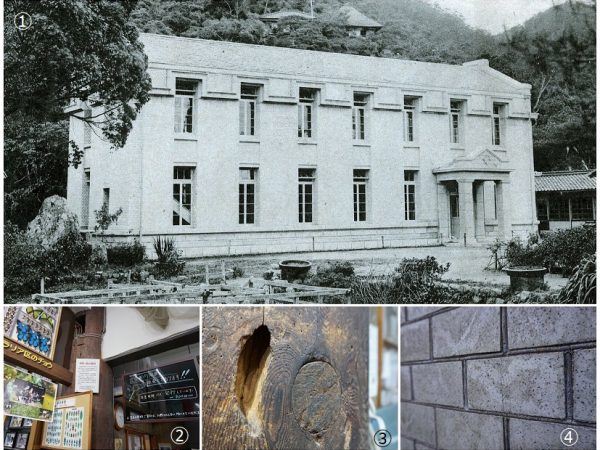 ①開館した1919(大正8)年に撮影された名和昆虫博物館(写真提供:名和昆虫博物館) ②入り口すぐの受付近くにある唐招提寺の古木を活用した柱。梁などの穴もそのままにしてある。奈良県教育委員会の追跡調査により、ここと真ん中にある柱が唐招提寺金堂にあったもので、奥にある階段そばの柱が明治38年に解体修理された講堂のものだということが判明した③丸くなっているところがシロアリ被害の防除跡。シロアリ被害のところに穴を開け、当時は使用できたヒ素を入れて、同じサイズの木栓を埋め込んだ。ヒ素による防除は、アリがヒ素に触れたらすぐ死ぬのではなく、体についた働きアリが巣に帰り、グルーミングすることで巣全体を駆除できるという方法だった④博物館の外壁タイルは備前焼。「以前こちらを訪れた建築好きの方が、目地が山型になっているのは技術として大変なのだとおっしゃっていました」と哲夫さん