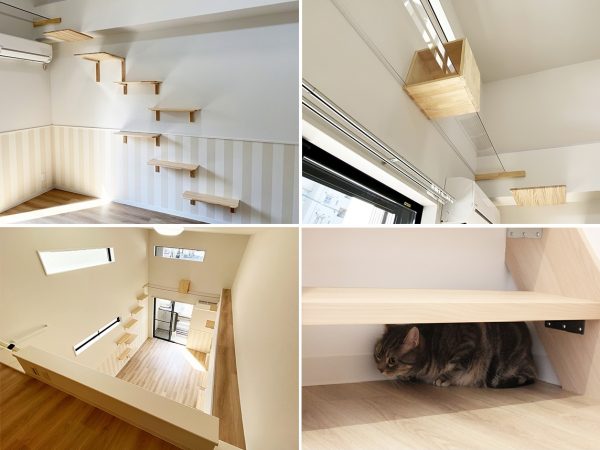 左上/ステップの高さや距離は、老猫でも負担の少ないようにとも考えられた。左下/単身世帯向けではロフトを生かした高低差のある動線に。右上/通路には猫が隠れることもできる箱を設置。右下/ファミリータイプでは、来客などに驚いた猫が隠れられるスペースが階段下にある