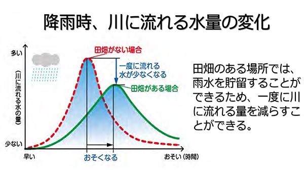 田んぼや畑の機能の一つに洪水防止機能がある。田畑がある地域の川は、ない地域に比べて降水時に一度に流れる水の量が少なくなる(出典:農林水産省「洪水防止機能」)