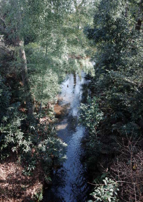 玉川上水沿いの心地よい環境の住宅地