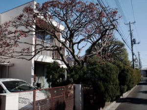 花と緑が多い住宅地