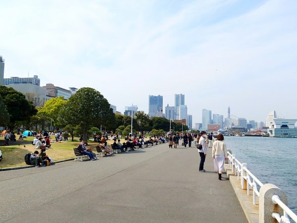 横浜駅と山下ふ頭を結ぶ連節バス「BAYSIDE BLUE」。写真は「赤レンガ倉庫前」バスストップ(横浜駅に向かう上り方面のみ設置)。横浜ならではの鮮やかな色も目を引く
