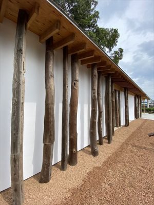 モンテネグロ会館の外観。右に見える既存樹木をよけるように建てた