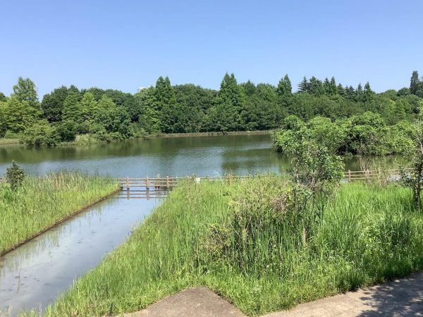 柏の葉駅からバスで数分で豊かな自然がある