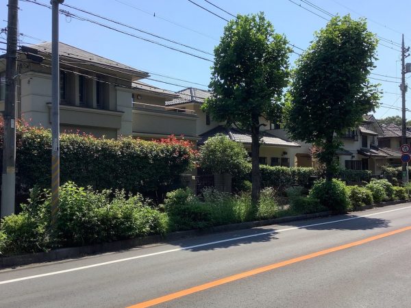 三井の住宅地は柏の葉の開発初期からある