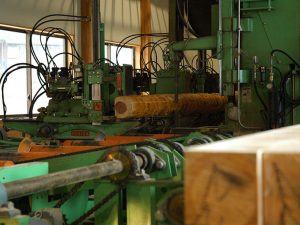 根羽村森林組合が運営する製材工場。林業の発展のため、そして村民の働く場ともなって村の暮らしに貢献する