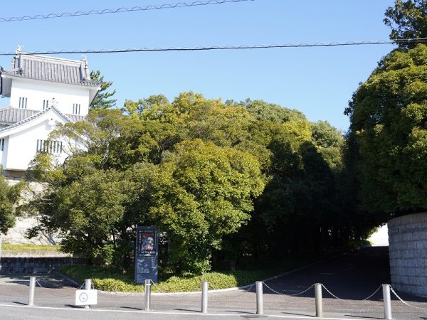 豊田市美術館へのアプローチ。江戸時代にこの辺りを治めていた挙母(ころも)藩の城、挙母城があった土地に建てられている。隅櫓は復元されたもの