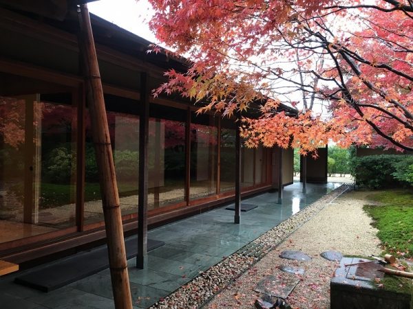 敷地内にある茶室「童子苑」は、大小2つの木造数寄屋造りの建物からなる。写真は広さのある「一歩亭」と名付けられた茶室。ここでお茶(一服¥400、お菓子付き)を楽しめるほか、茶会の開催に限って貸し出しも行っている(写真提供:豊田市美術館)