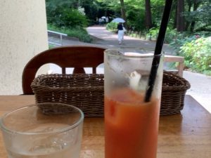 吉祥寺は井の頭公園で気分転換できるのがリモートワーク時代に合っている