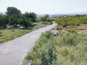 周辺を散歩すると、畑の風景が広がる