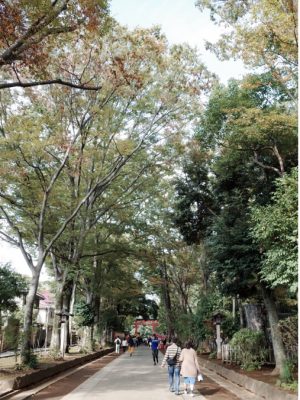 大宮氷川神社参道には新しいカフェなどもできて、散策や気分転換に最適