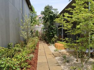 オフィスと住宅の間の通路。その奥にはさらに緑が続く