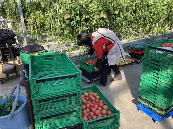 三菱電機株式会社の病院向け搬送サービスロボット「MELDY」。従来の搬送ロボットは走行部とカートが一体化されているものが多かったが、脱着型カート方式にすることでロボットを呼び出す前に収納作業が行え、実用性を高めた(写真提供:愛知県)