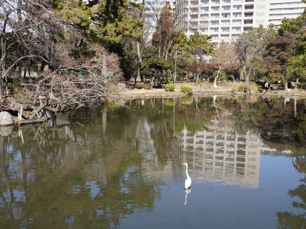 胡蝶ヶ池。緑豊かな水辺には、野鳥の姿も