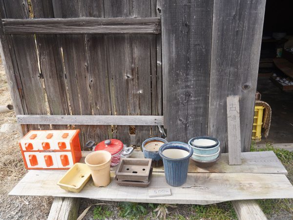 周辺を散歩すると、畑の風景が広がる