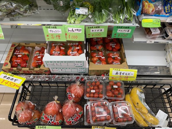 周辺を散歩すると、畑の風景が広がる