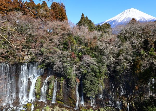 小野照崎神社にある富士塚