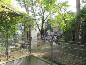 敷地内の圧倒的な緑には訪れる度にびっくりする