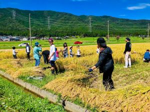 このエリアに住む多くの家庭には、代々守っている田んぼがあるという。そのほとんどが兼業農家で、機械は家単位ではなく地域でシェアして使うのだそう。昔から助け合って生きてきたのだ