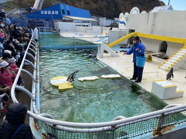 おたる水族館。北海道小樽市祝津3-303/1959年開館、現本館は1974年完成/設計(本館):前田建設工業、石田建築設計事務所/交通:JR小樽駅からバスで約25分(写真:宮沢洋)