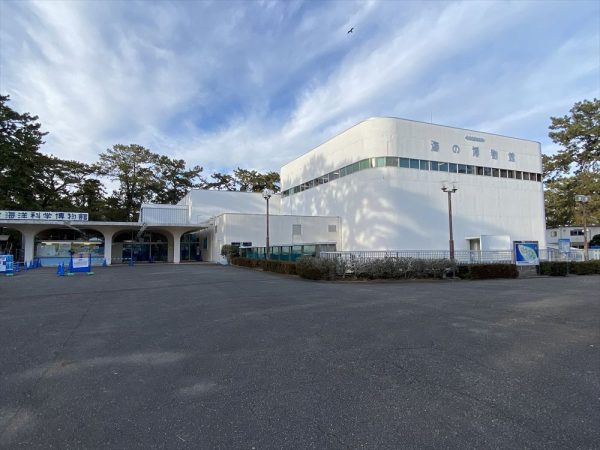 東海大学海洋科学博物館。静岡県静岡市清水区三保2389/1970年開館/設計:山田守建築事務所/交通:JR東海道線・清水駅から東海大学三保水族館行きのバスに乗車し終点下車(写真:宮沢洋)