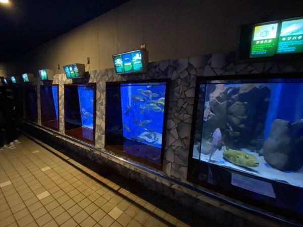 越前松島水族館。1959年開館、海洋館は2009年/設計(海洋館):京福コミュニティサービス、コジマ環境設計/交通:JR 北陸本線・芦原温泉駅からバスで約30分(写真:宮沢洋)