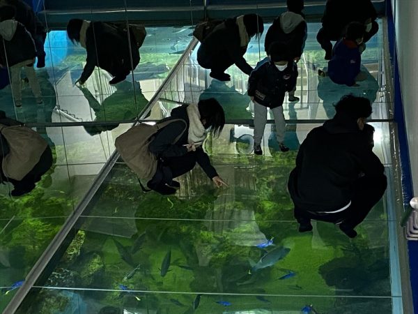 越前松島水族館。1959年開館、海洋館は2009年/設計(海洋館):京福コミュニティサービス、コジマ環境設計/交通:JR 北陸本線・芦原温泉駅からバスで約30分(写真:宮沢洋)