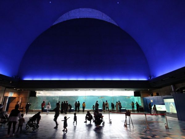 神戸市立須磨海浜水族園。兵庫県神戸市須磨区若宮町1-3-5/1987年開館/設計:大建設計/交通:JR・須磨海浜公園駅から徒歩5分、山陽電鉄・月見山駅から徒歩10分(写真:宮沢洋)