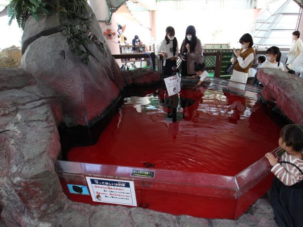 神戸市立須磨海浜水族園。兵庫県神戸市須磨区若宮町1-3-5/1987年開館/設計:大建設計/交通:JR・須磨海浜公園駅から徒歩5分、山陽電鉄・月見山駅から徒歩10分(写真:宮沢洋)