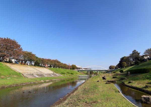 流川市の運河水辺公園。季節のイベントや、毎月第4土曜日には朝市が開催されている
