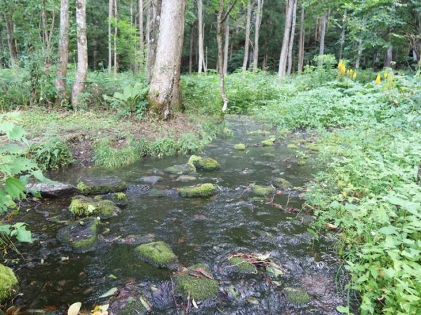 お隣の白馬村にある姫川源流。美しい流れなのだが、急流で荒れやすい