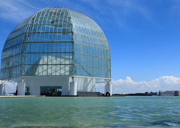 開園から30年以上が経ち施設、設備の老朽化が進み、アクセシビリティの確保が難しいなどの課題が見えてきている