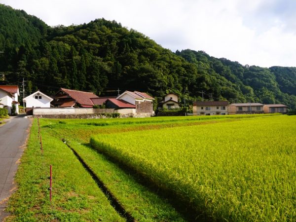 プロジェクトを立ち上げた徳田さんに一揖で話を伺う