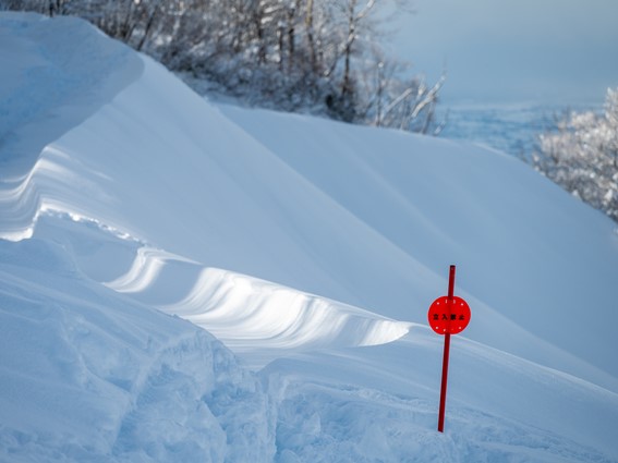国内の「豪雪地帯」の分布図(国土交通省ホームページより)