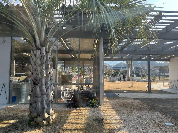 子どもがよじ登れる高台