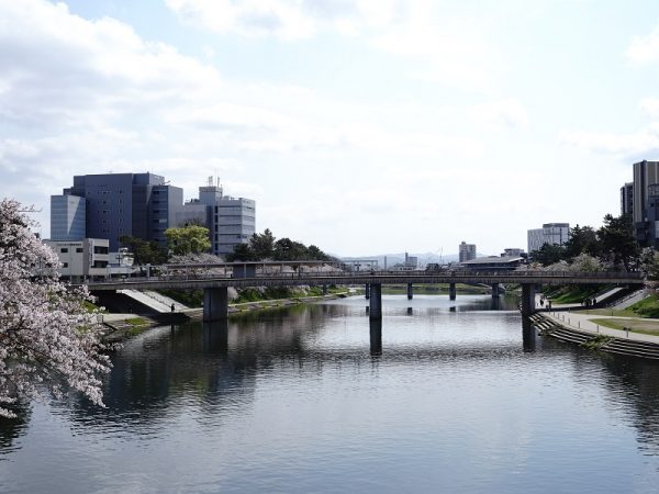 殿橋から見る岡崎城(写真右側)