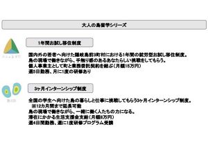 大人の島留学の2タイプ。期間だけでなく、働き方その他についても違いがある(資料提供/海士町)