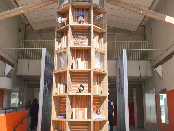 いくのパークの校庭。芝生広場も公園として一般開放。定期的なイベントも開催される