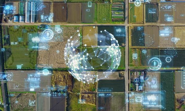 人間と新しい技術(AIなど)との分業を積極的に進めていくことが必要となる(画像はイメージ)