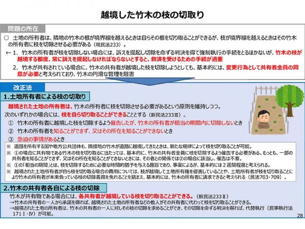 越境した⽵⽊の枝の切取り<br>出典:法務省