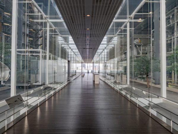 エコリアムの様子